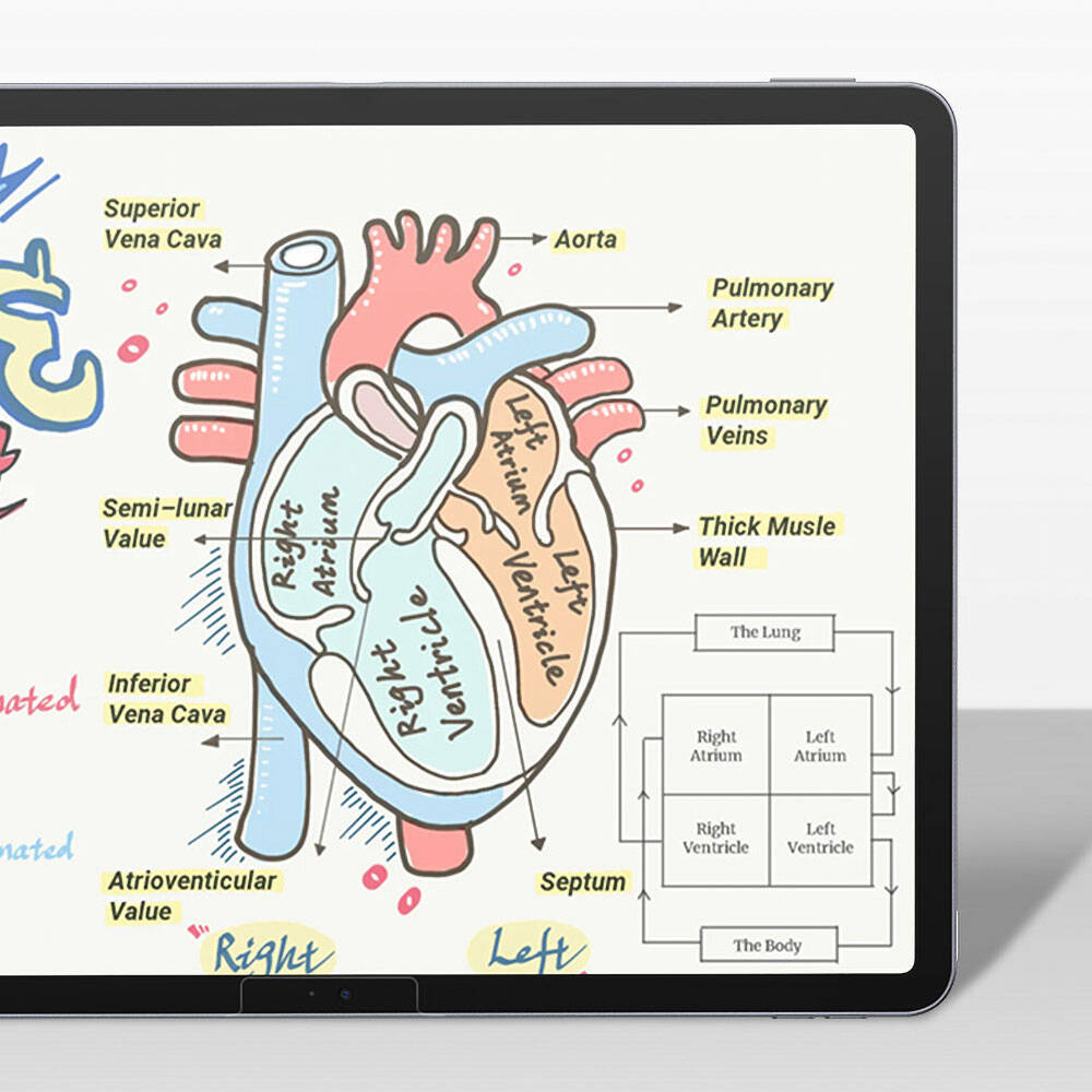 iPad Pro 11 2025 M5 Kağıt Hisli Benks Mat Paper-Like Ekran Koruyucu