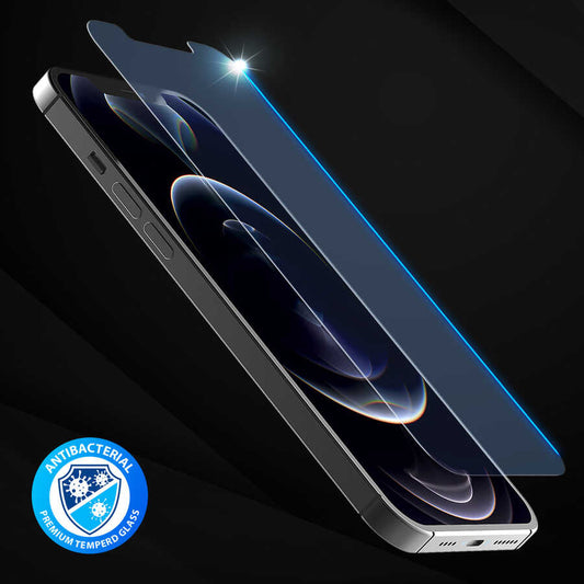 iPhone 12 Araree Subcore Temperli Ekran Koruyucu