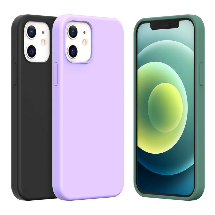 iPhone 12 Kılıf Araree Typo Skin Kapak