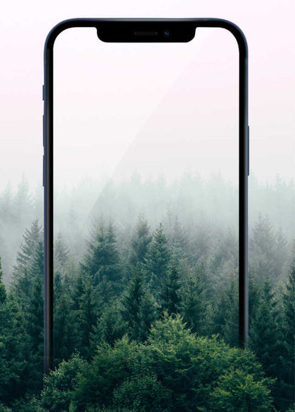 iPhone 13 Wiwu iPrivacy HD Anti-Peep Ekran Koruyucu