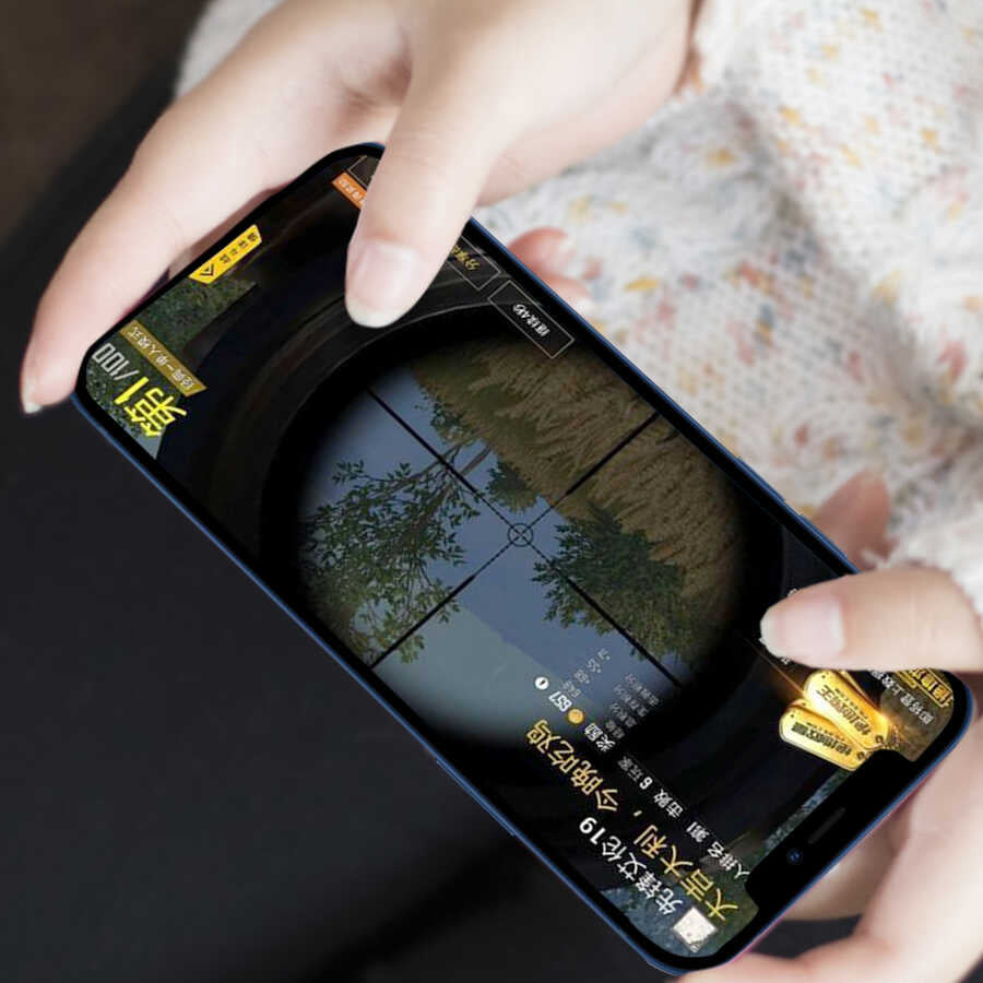 iPhone XS Max 6.5 Wiwu iPrivacy HD Anti-Peep Ekran Koruyucu