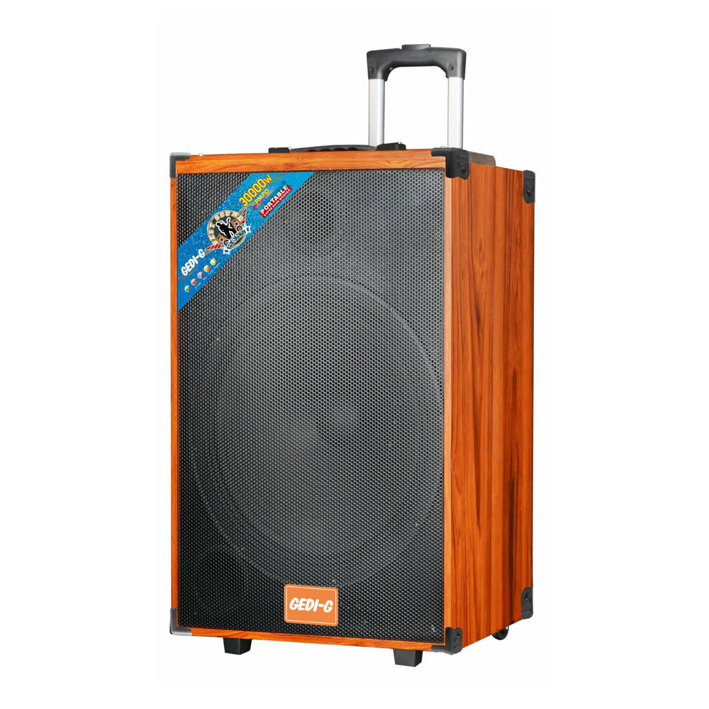 Zore LT-Q15A Dijital LED Göstergeli FM Radyolu Çift Mikrofonlu Kumandalı TWS Kablosuz Karaoke Hoparlör Speaker