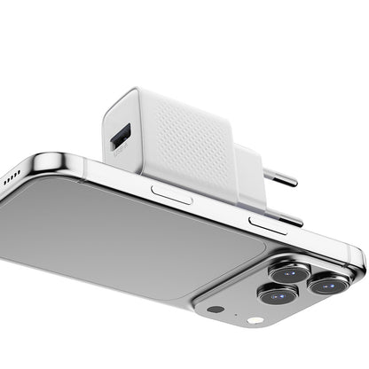 Zore Titan Serisi ZT01 Seyahat Şarj Başlığı
